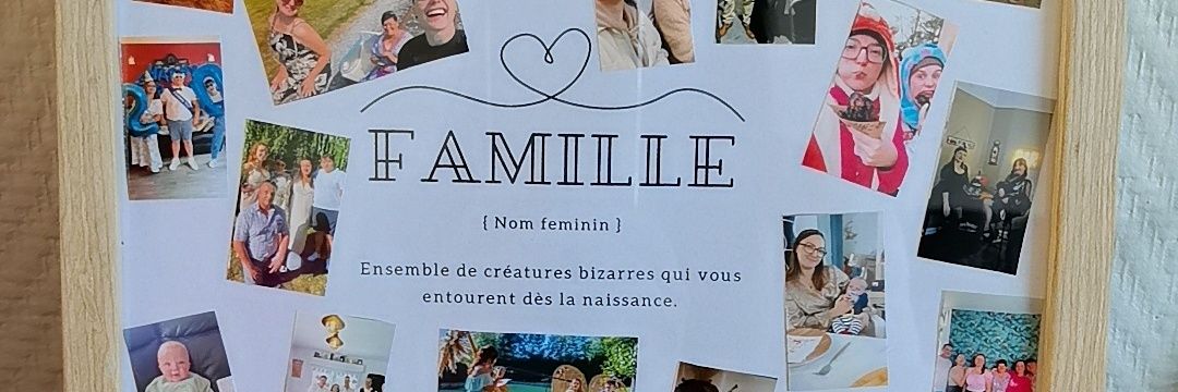 vanimerl's profile banner image