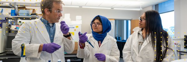 LSU_Foundation Profile Banner