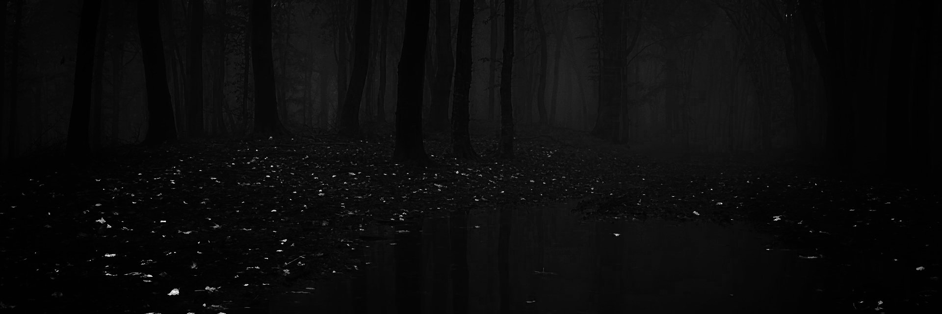 pavjacko's profile banner image