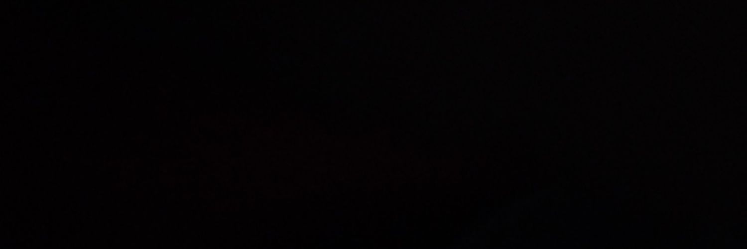 NZHzer's profile banner image