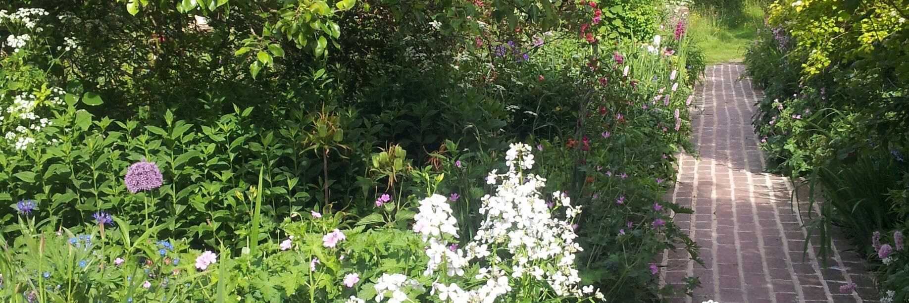 Eleanor Tuohy banner