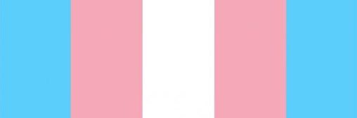 comradetransfem's profile banner image