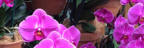 leighbcook Profile Banner