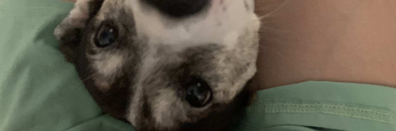 mooseseu's profile banner image