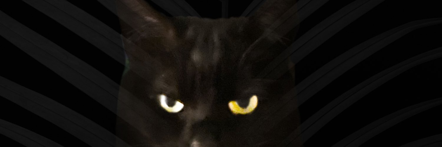 Katie Palmer (KP118) banner
