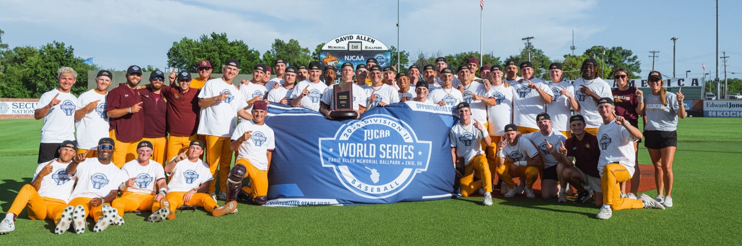 PRCC_Baseball's profile banner image