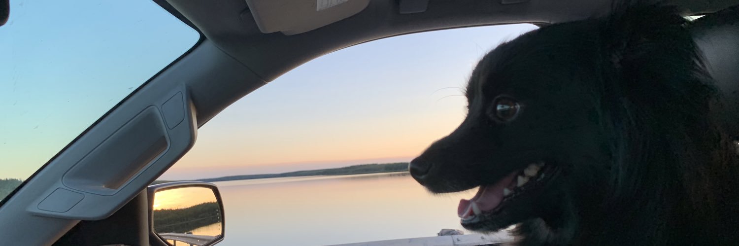 StenVT's profile banner image