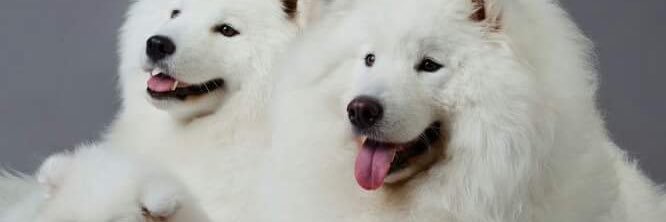 molaygb's profile banner image