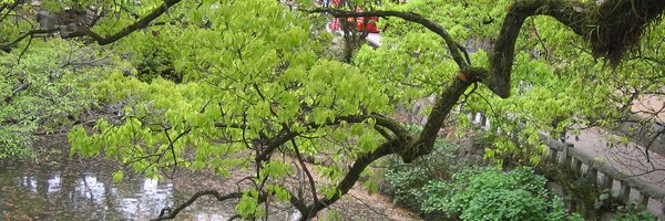 enmity_noises Profile Banner