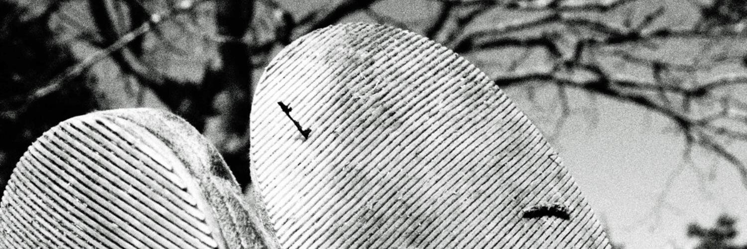 sp4tgo's profile banner image