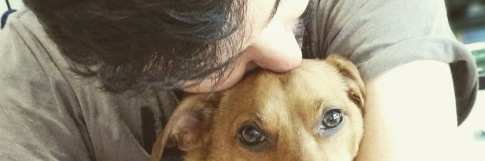 paodealho_'s profile banner image