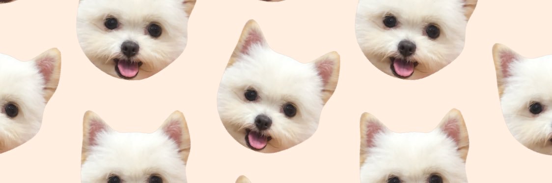 ariaelaaa_'s profile banner image