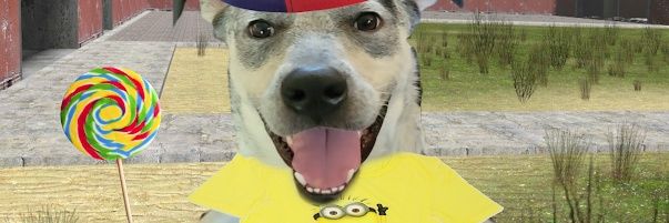 Rain 🐀🏳️‍⚧️ banner