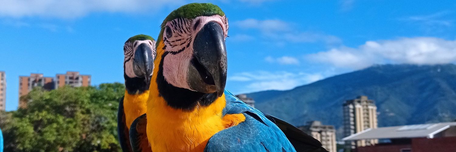 olmanster's profile banner image