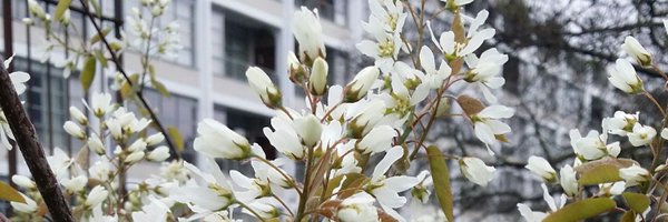 E_M_Books Profile Banner