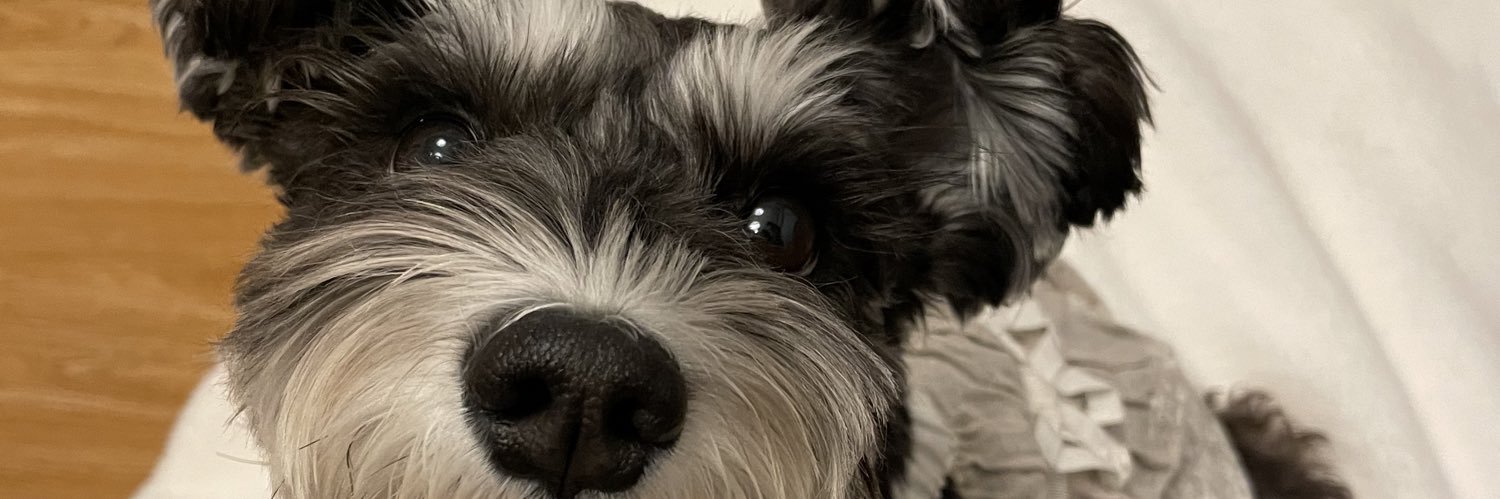 早見紗英 banner