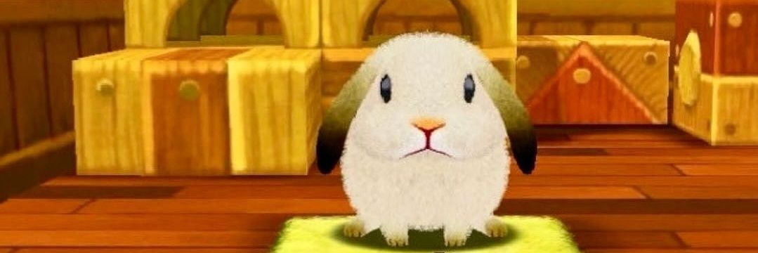 🌺Your Muse🌺 banner