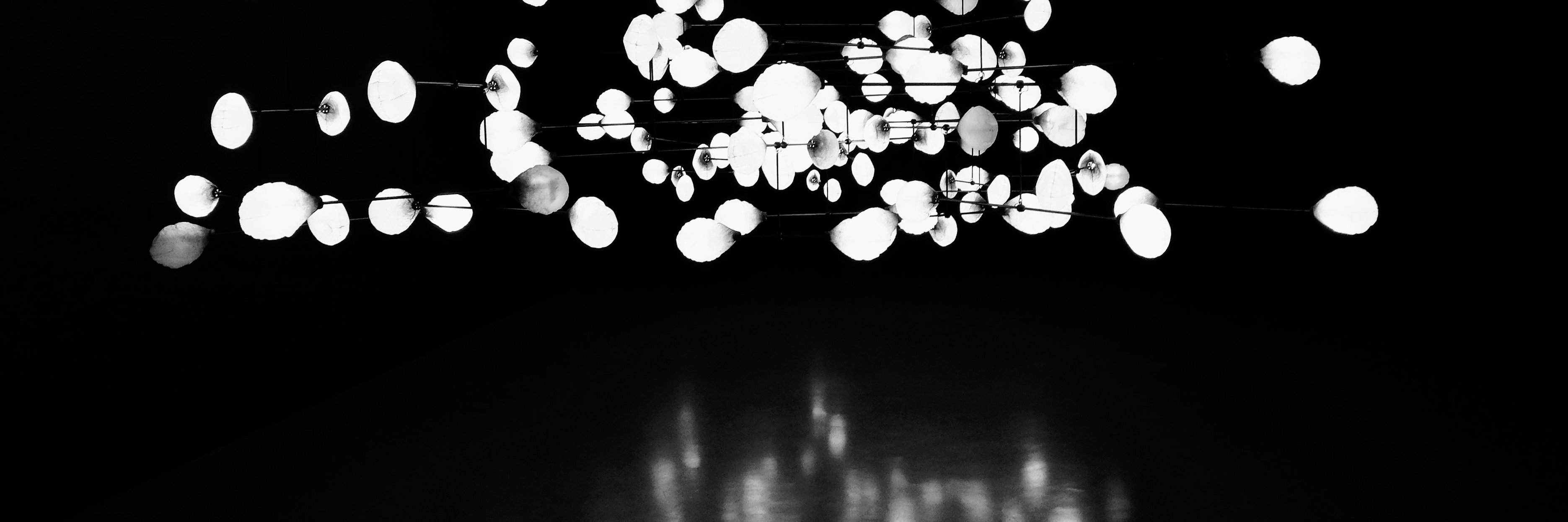 a_wentland's profile banner image