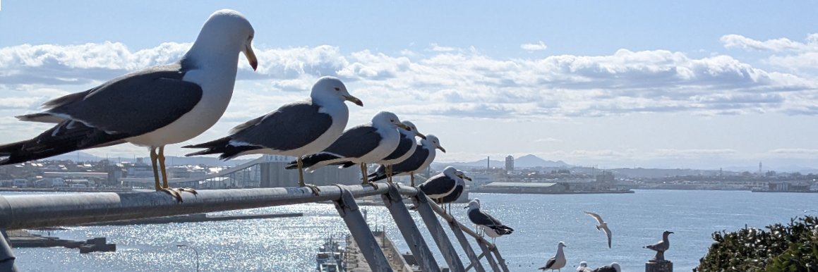 cco713's profile banner image