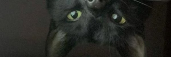 Cinthia_Rom Profile Banner