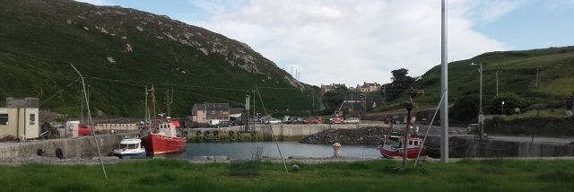 Cape Clear Bird Obs banner