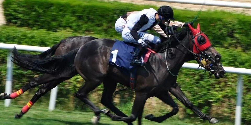 SercanTrpan's profile banner image