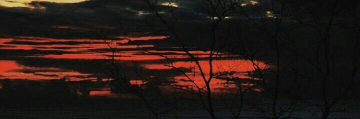 thrivesgip's profile banner image