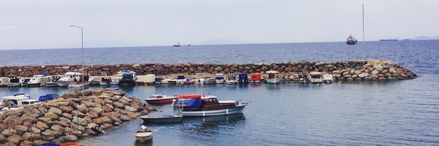 NTugceBarlas's profile banner image