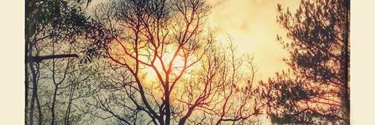 rockysarkar's profile banner image