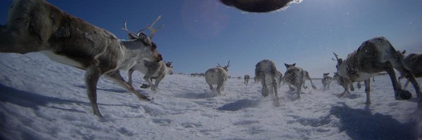 moorterb Profile Banner