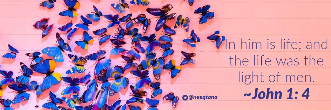 neeqtana's profile banner image