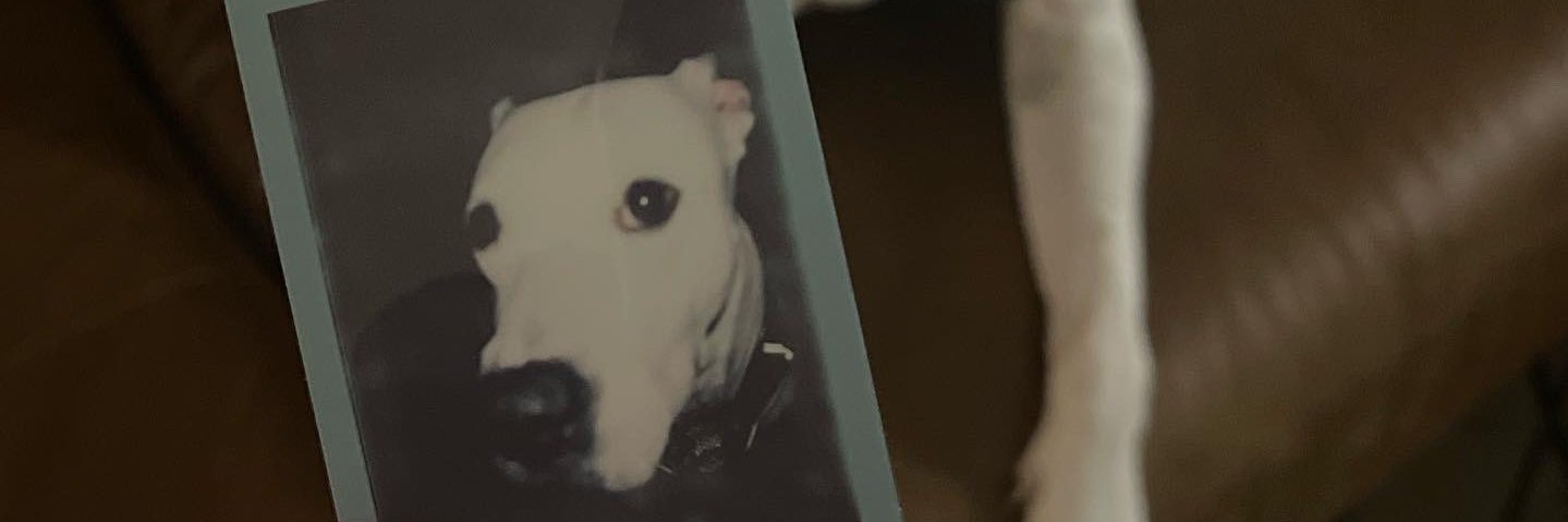bigttygothgf's profile banner image