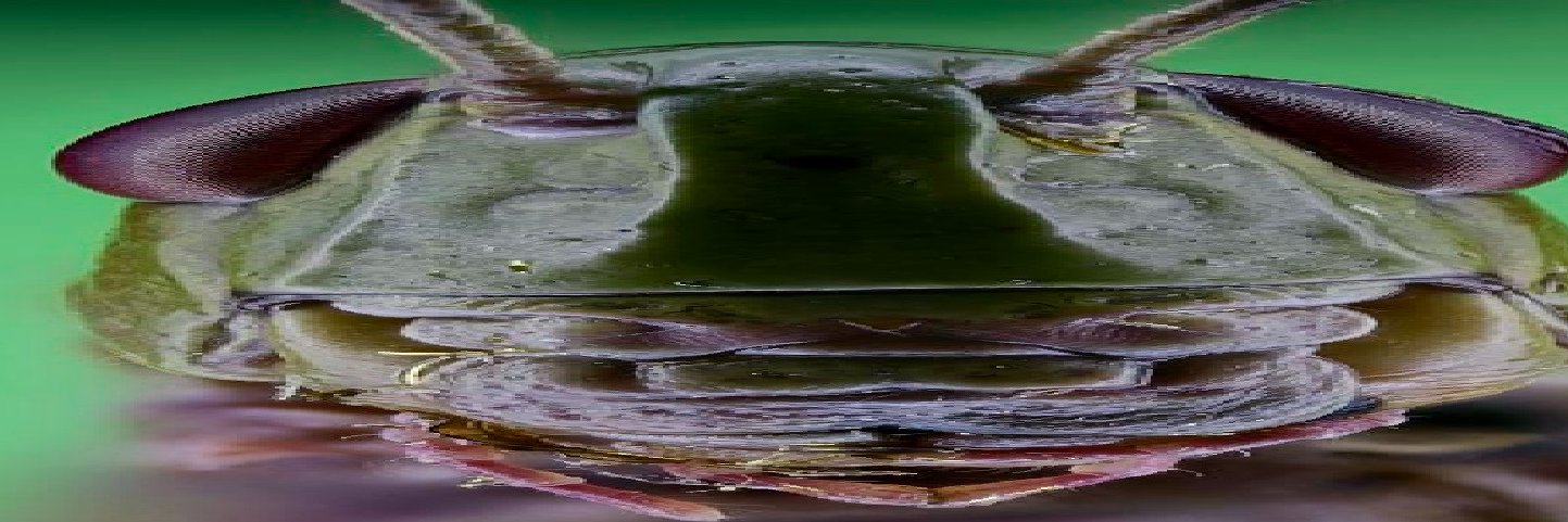 Foxtrax_'s profile banner image