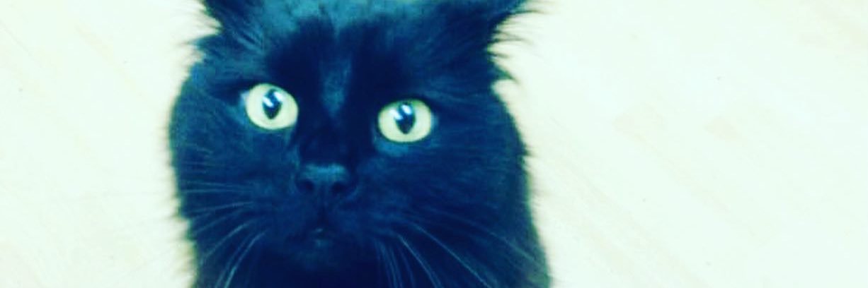 emmaterry_'s profile banner image