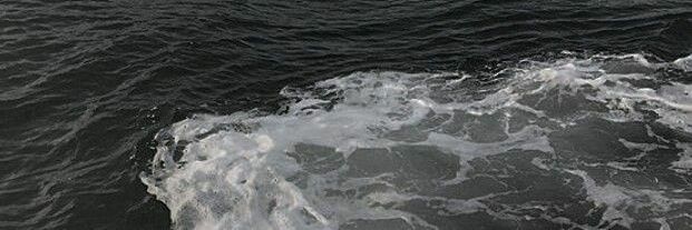 nic banner
