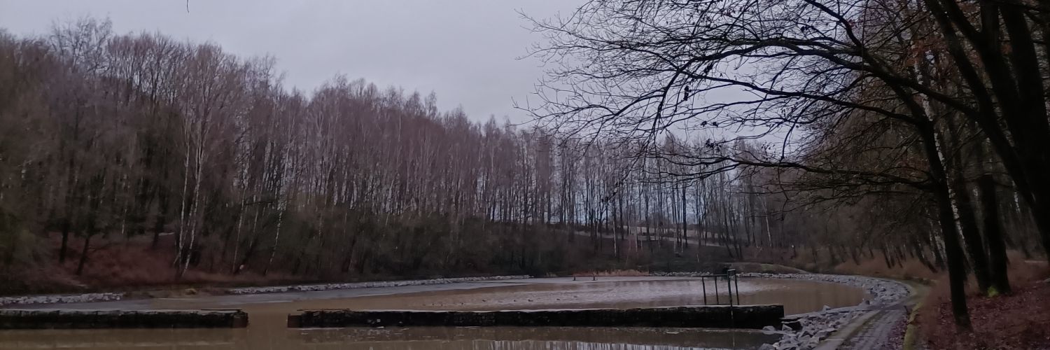 mr_llop's profile banner image