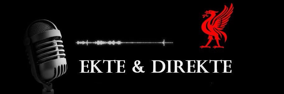 Christian Ottem banner