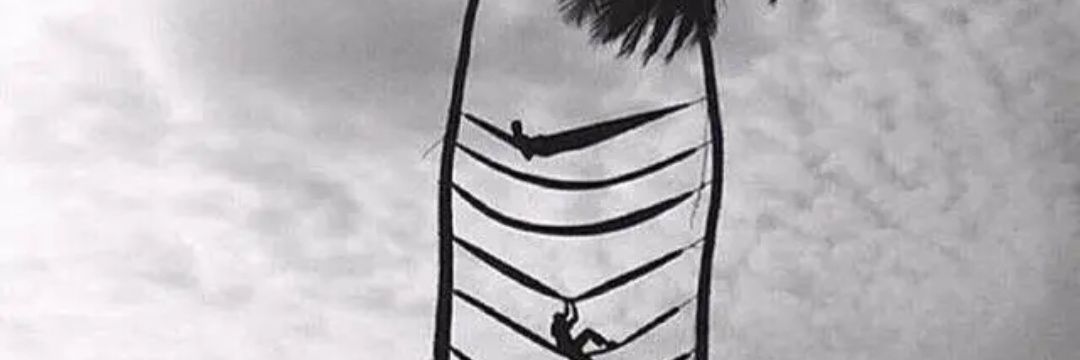 cesar roggio banner