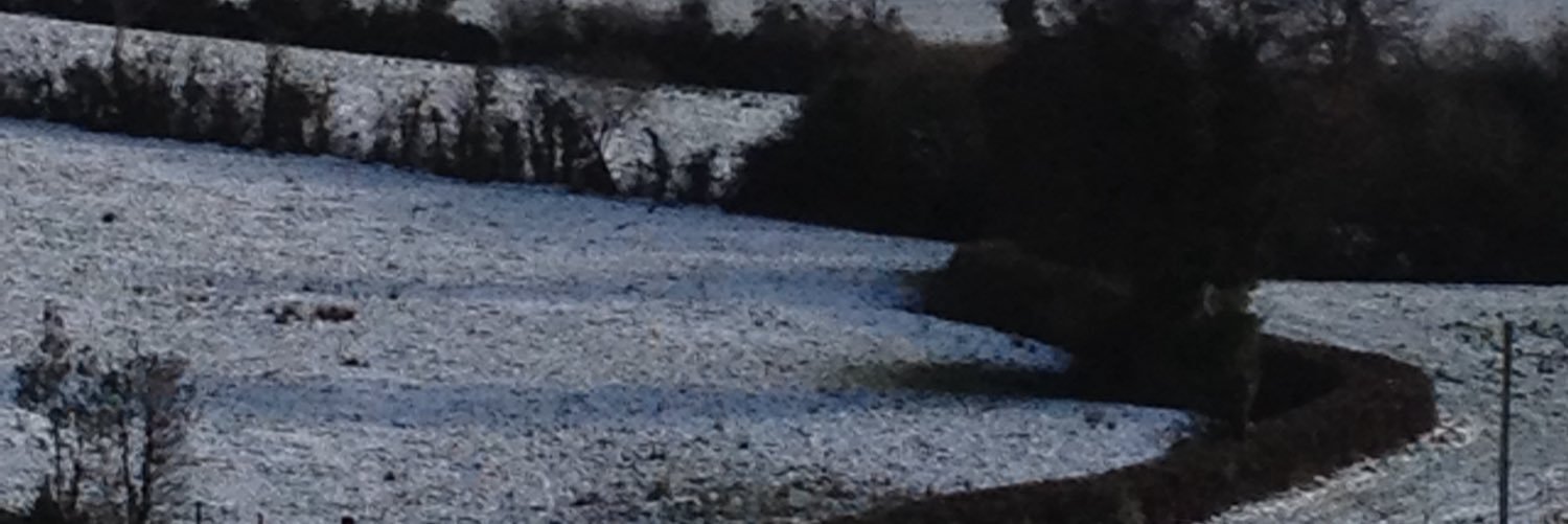 mcoogan73's profile banner image