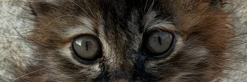 batt_98d's profile banner image