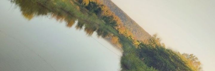 SlimsalumJr's profile banner image