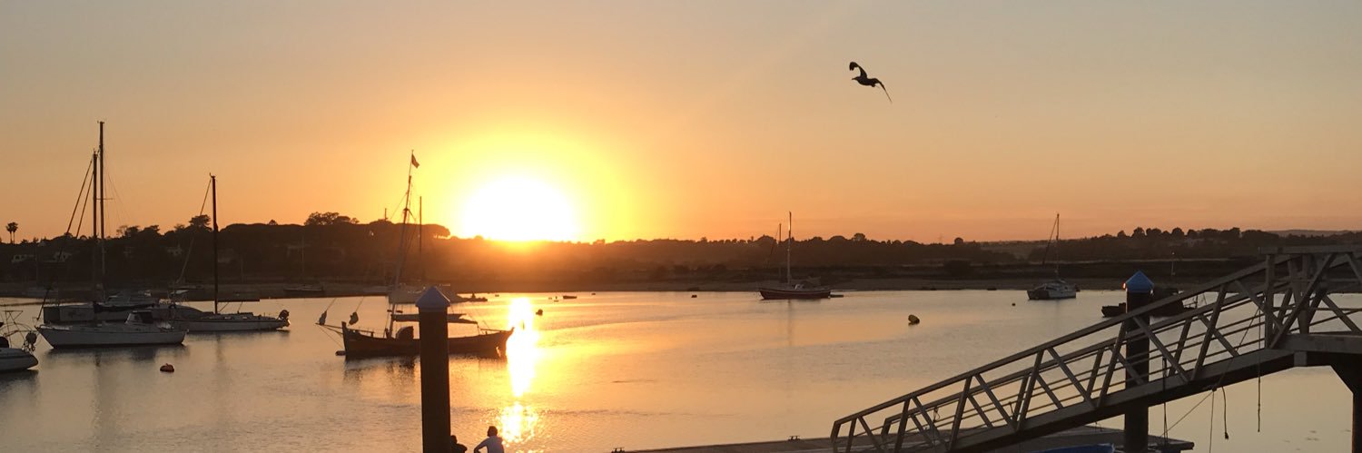 Patsy_Mcc's profile banner image