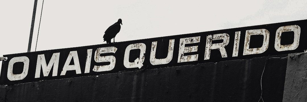 caio não-sossegado's banner