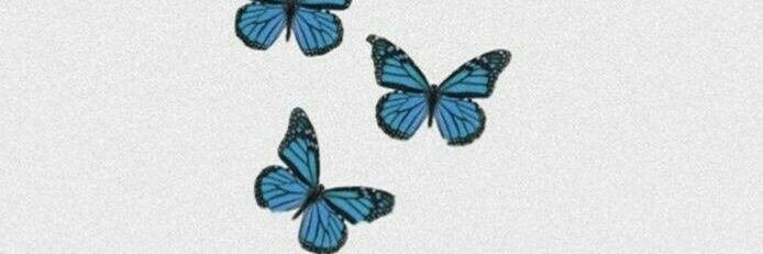 Rn5ll's profile banner image