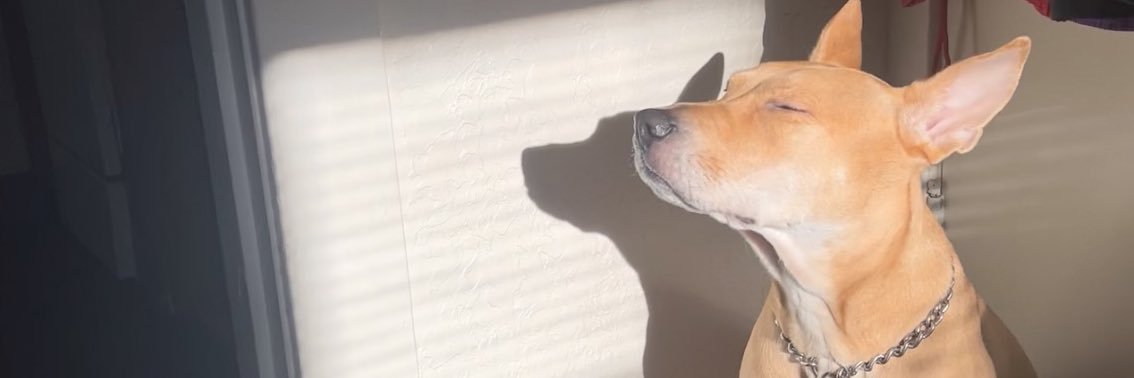 ryan_knows's profile banner image