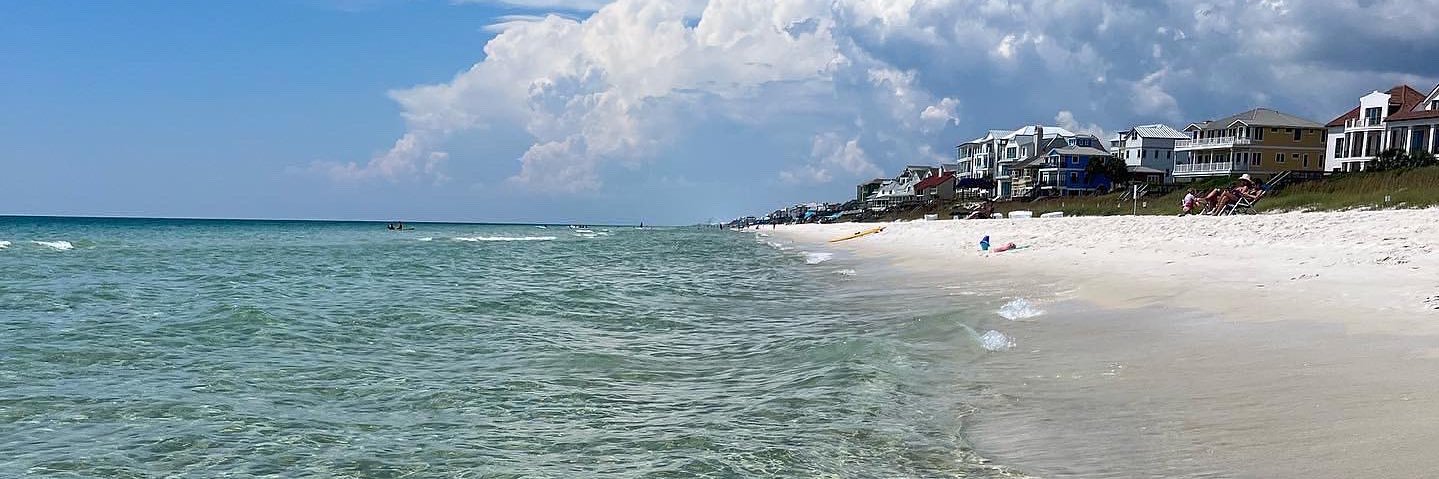 Tricia Scharf banner