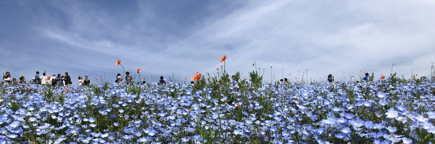 sukapi_gu's profile banner image