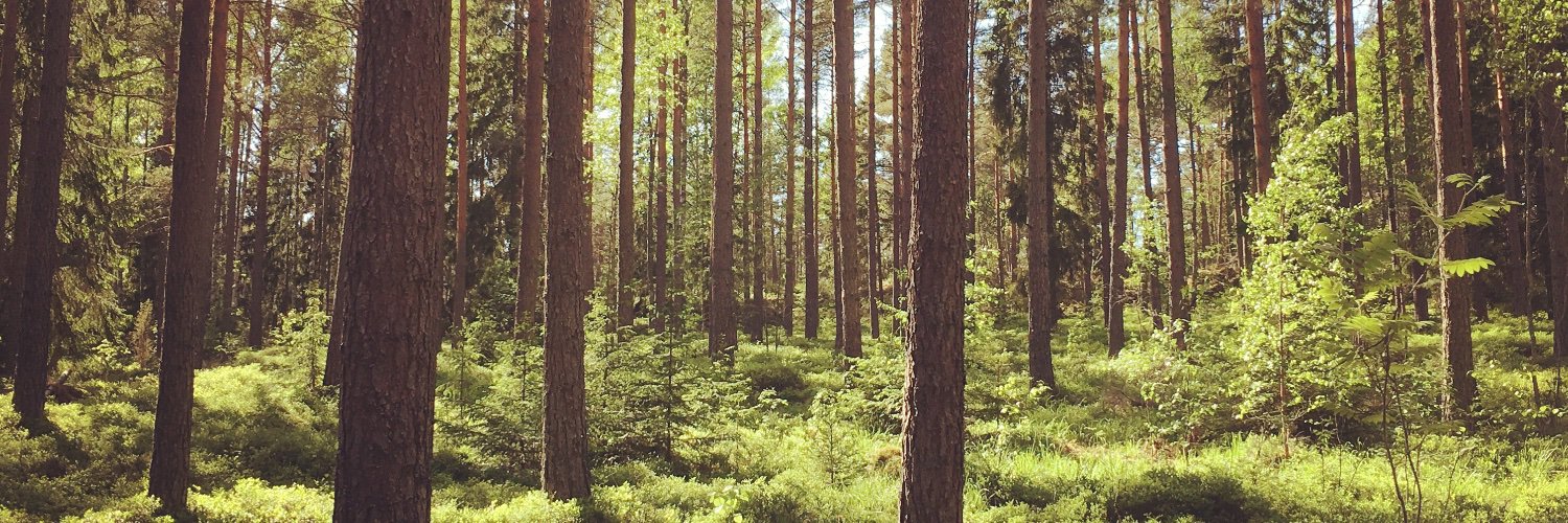 Meri Åhlberg banner