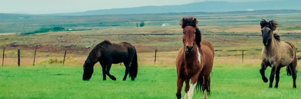 snigdha Profile Banner