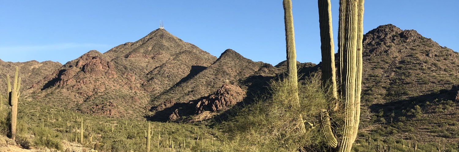 Nicole De La Pena banner